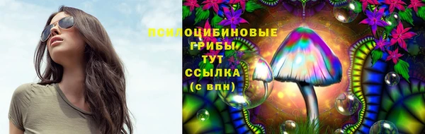 каннабис Абаза