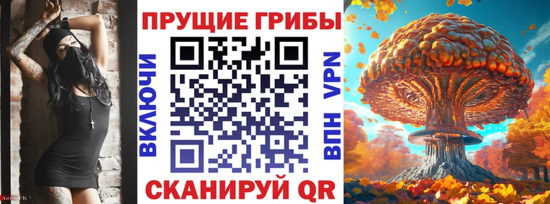 наркошоп  Северская  Псилоцибиновые грибы MAGIC MUSHROOMS 