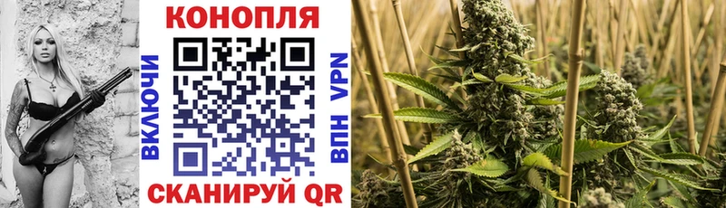 hydra как зайти Северская Каннабис планчик